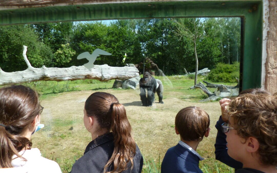 Les élèves de 6ème au zoo de la Boissière du Doré